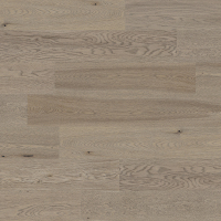 ELF-GALAXY选图-Oak2207