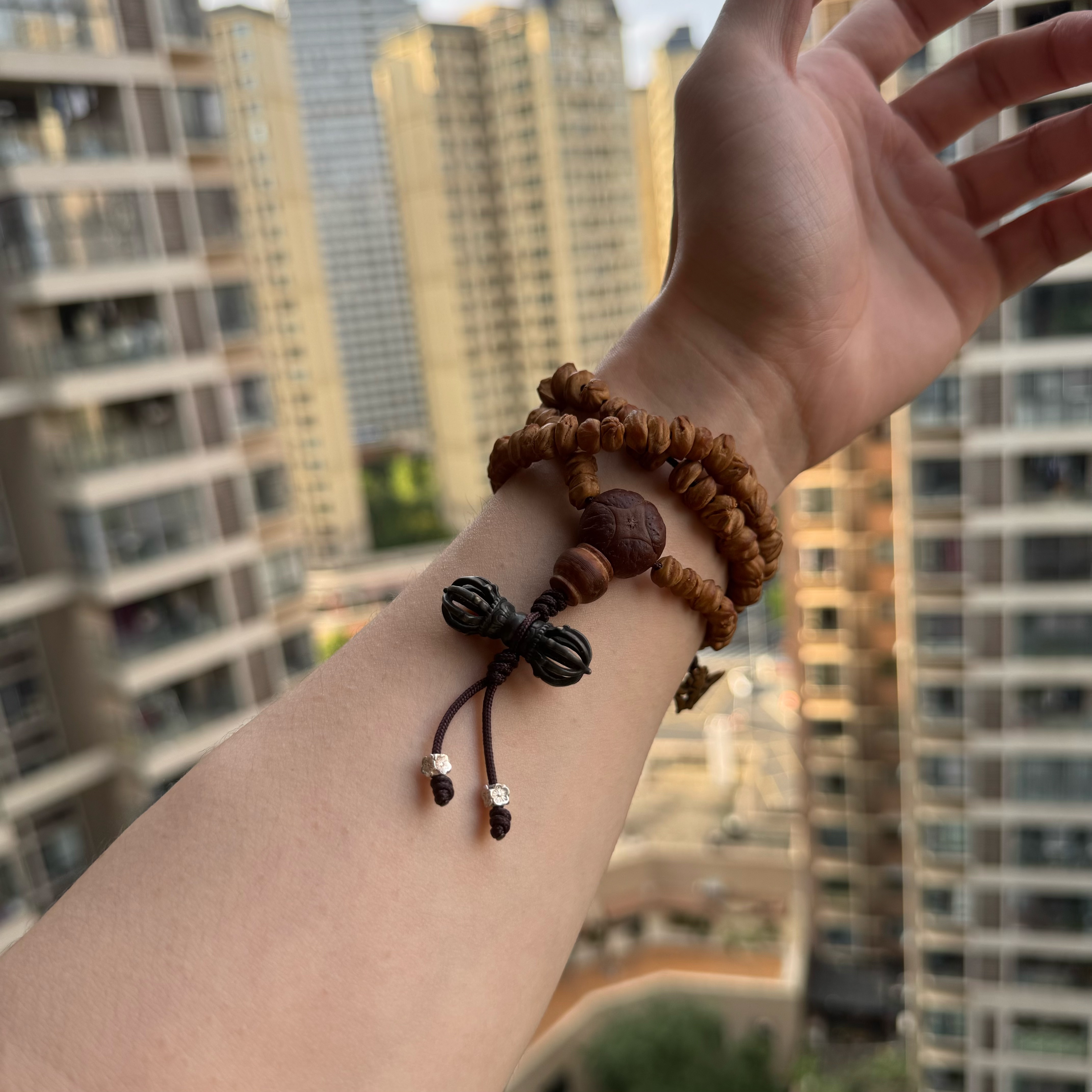 异形百香籽_2025.08.25-2