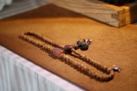 异形百香籽_2025.08.25-3