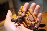 异形百香籽_2025.08.25-6