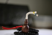 椰蒂海黄念珠_2024.10.25-1