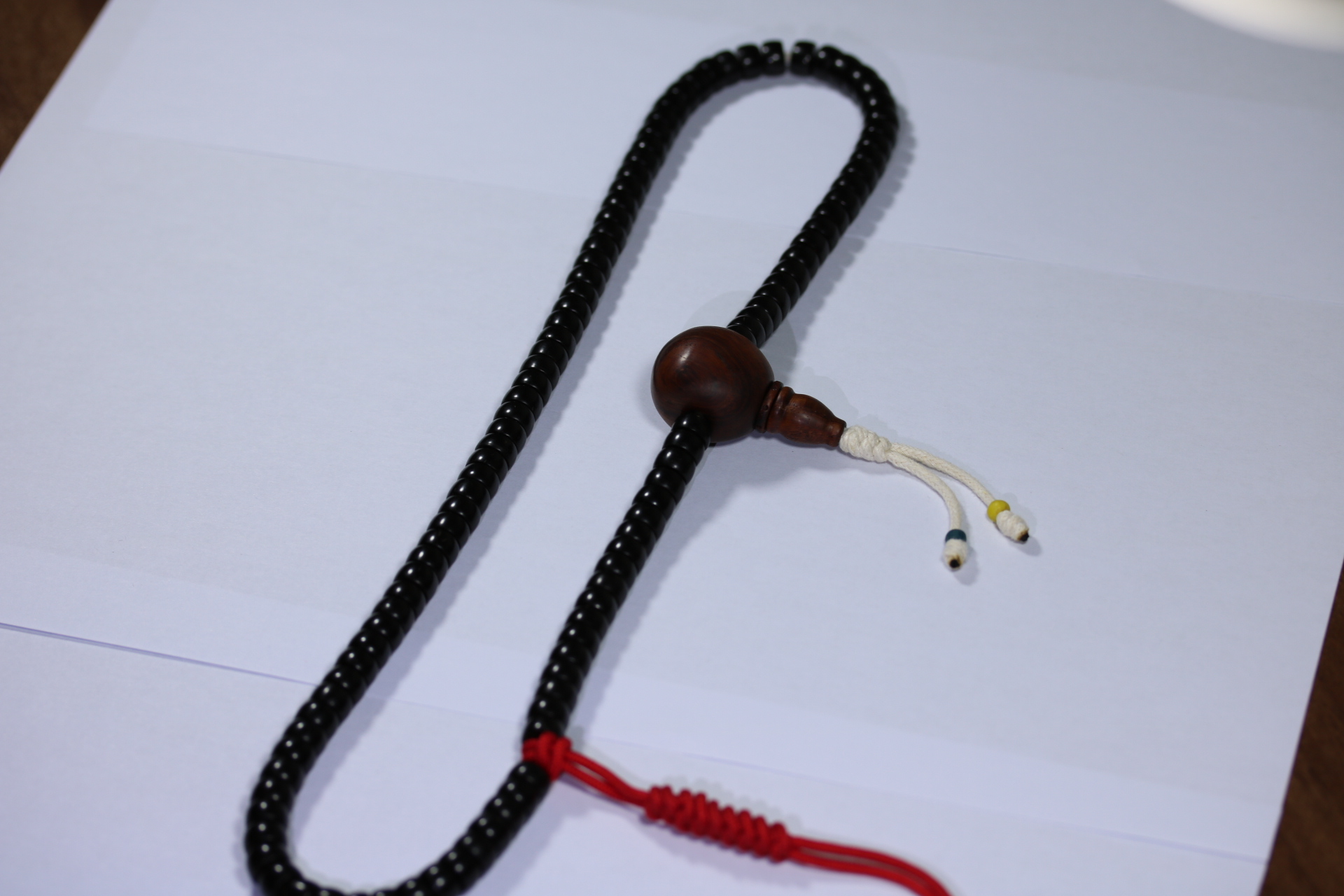 椰蒂海黄念珠_2024.10.25-2