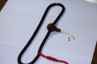 椰蒂海黄念珠_2024.10.25-2