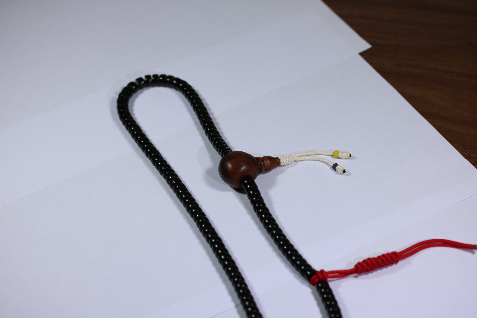 椰蒂海黄念珠_2024.10.25-3