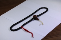 椰蒂海黄念珠_2024.10.25-5