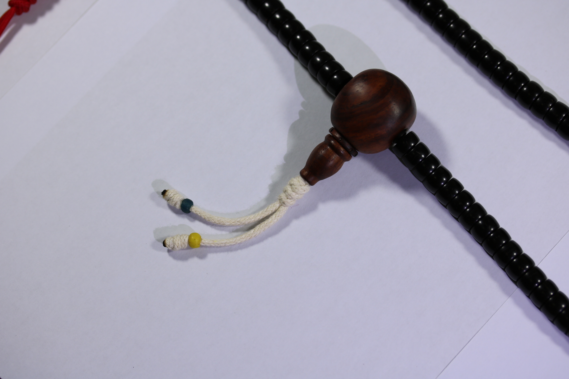 椰蒂海黄念珠_2024.10.25-6