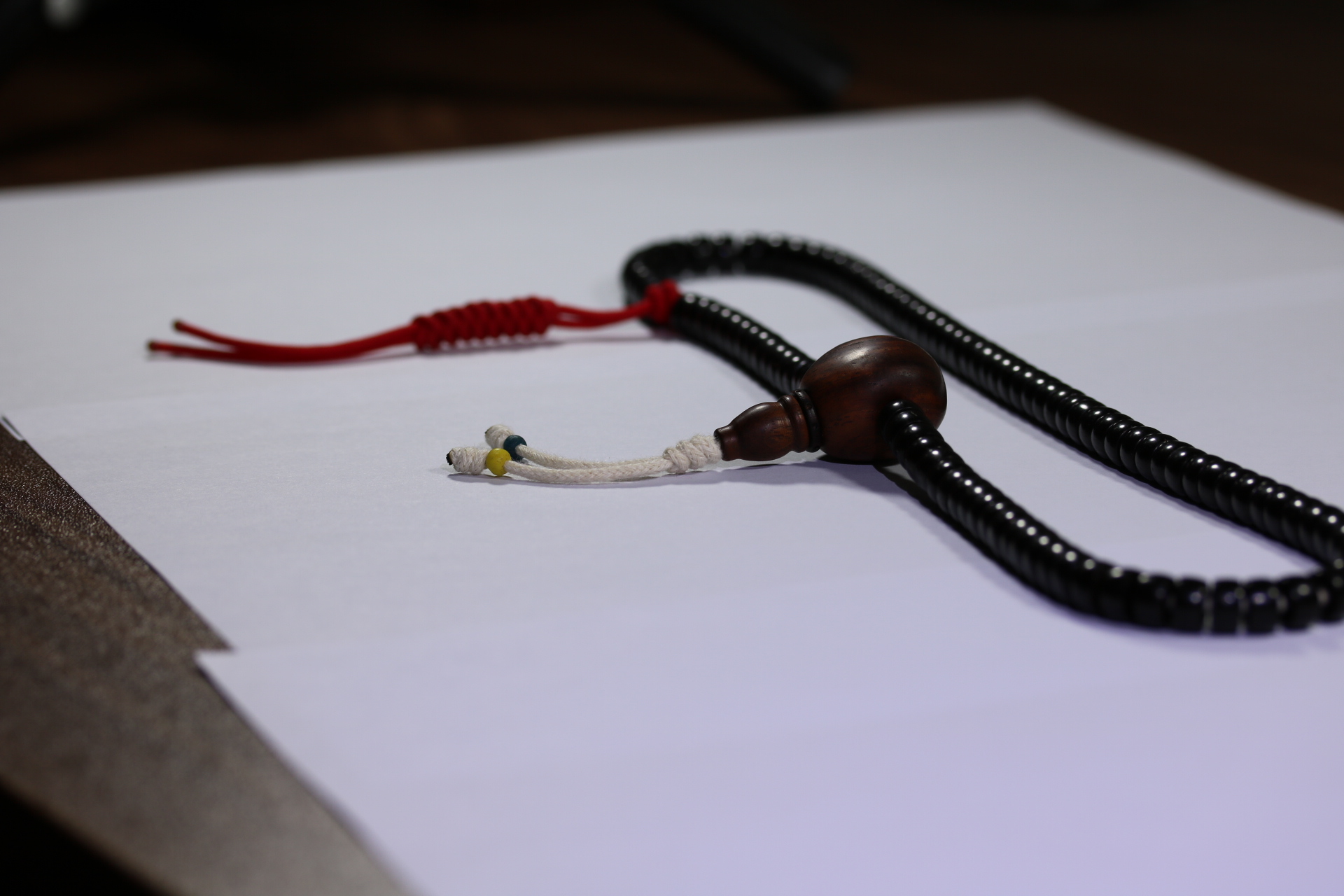 椰蒂海黄念珠_2024.10.25-7