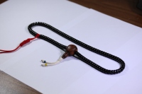 椰蒂海黄念珠_2024.10.25-8