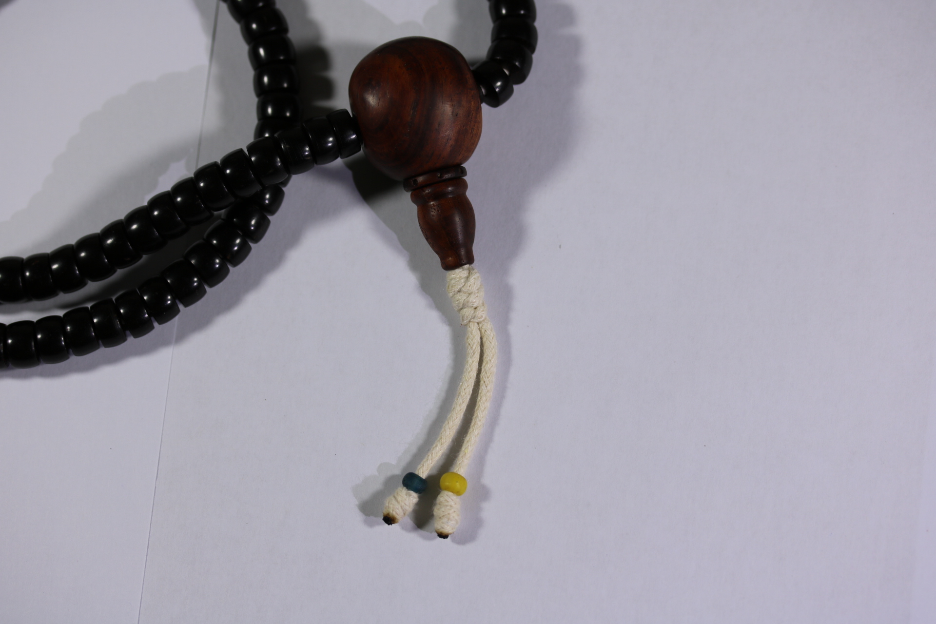 椰蒂海黄念珠_2024.10.25-9