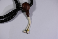 椰蒂海黄念珠_2024.10.25-9