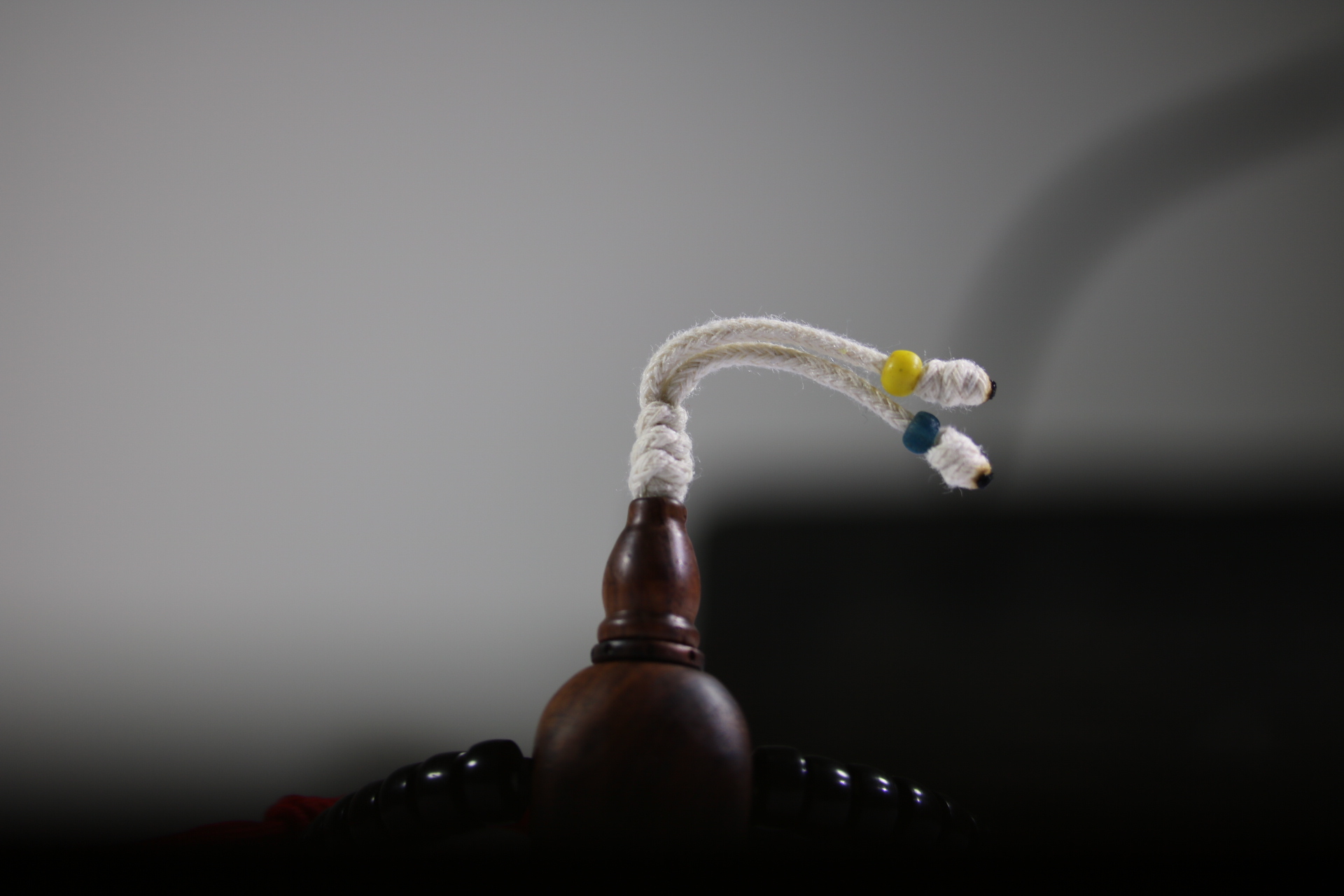 椰蒂海黄念珠_2024.10.25-10