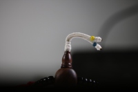 椰蒂海黄念珠_2024.10.25-10