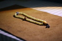 tt108念珠_2024.11.20-3