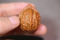 小秋子文玩核桃_2025.09.09-3