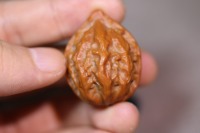 小秋子文玩核桃_2025.09.09-4