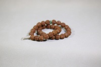 金刚菩提闷墩龙树王9x9_2025.09.15-1