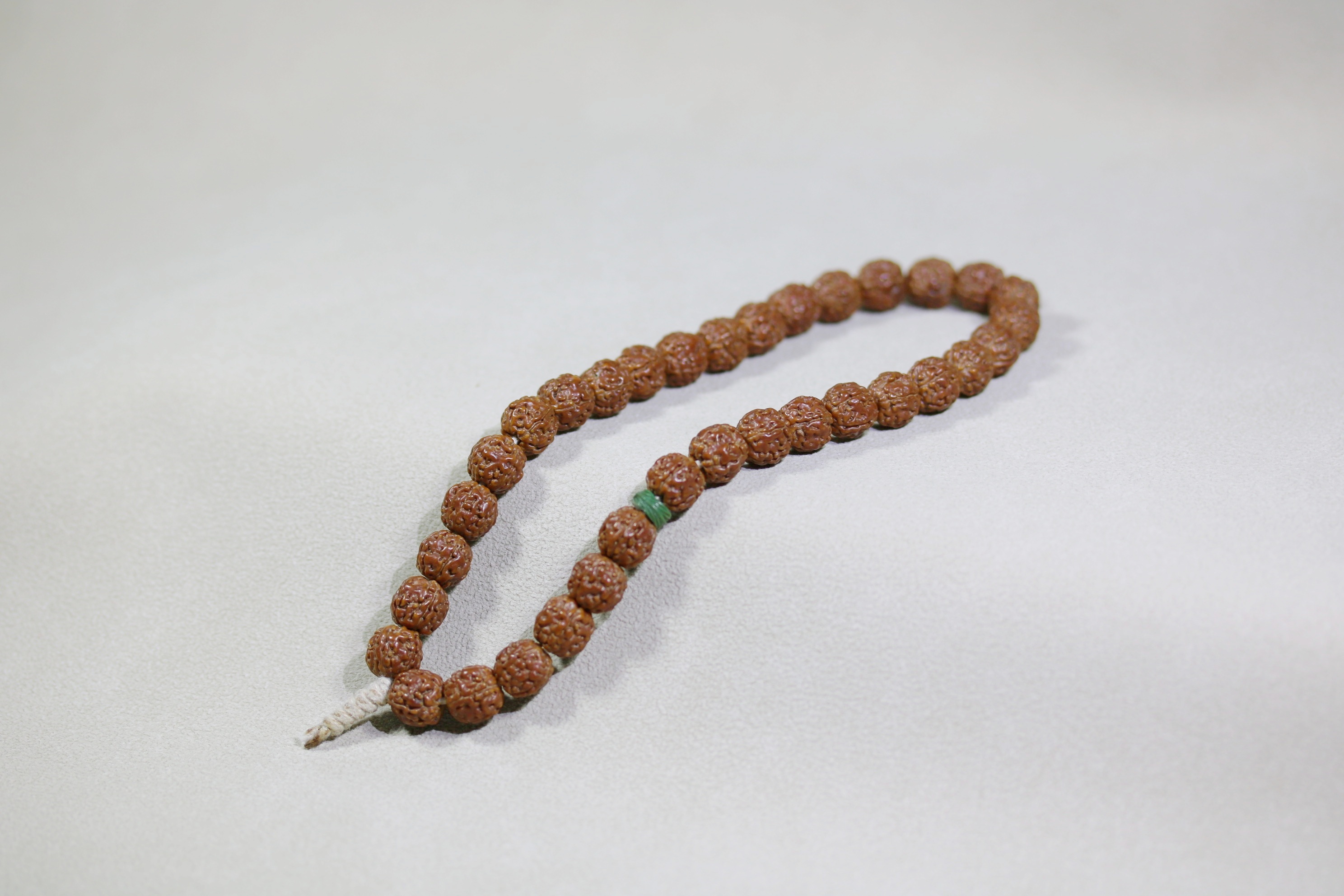 金刚菩提闷墩龙树王9x9_2025.09.15-3