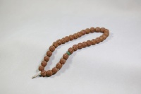 金刚菩提闷墩龙树王9x9_2025.09.15-3