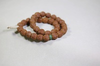 金刚菩提闷墩龙树王9x9_2025.09.15-4