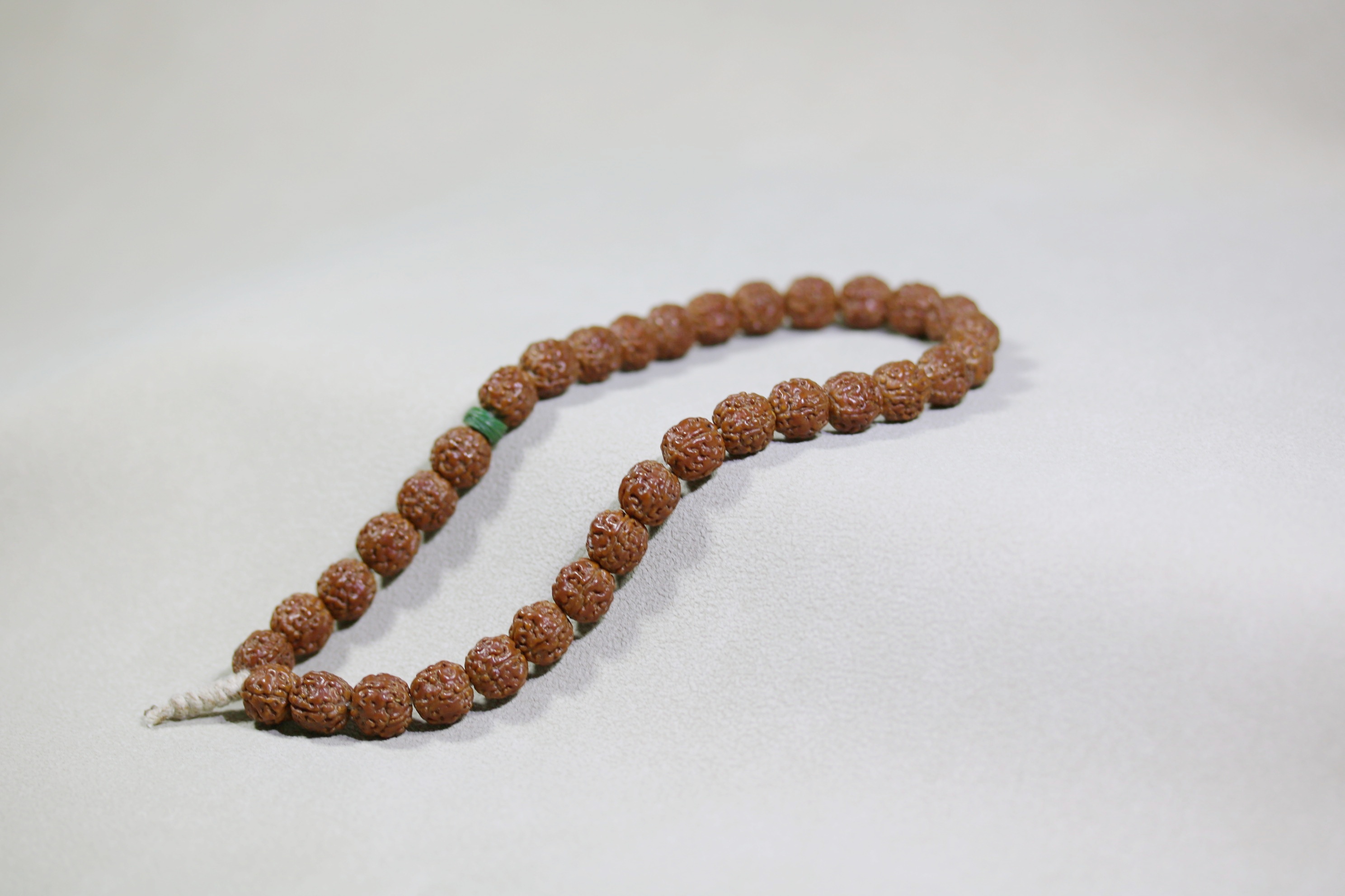 金刚菩提闷墩龙树王9x9_2025.09.15-5