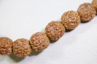 金刚菩提闷墩龙树王9x9_2025.09.15-6