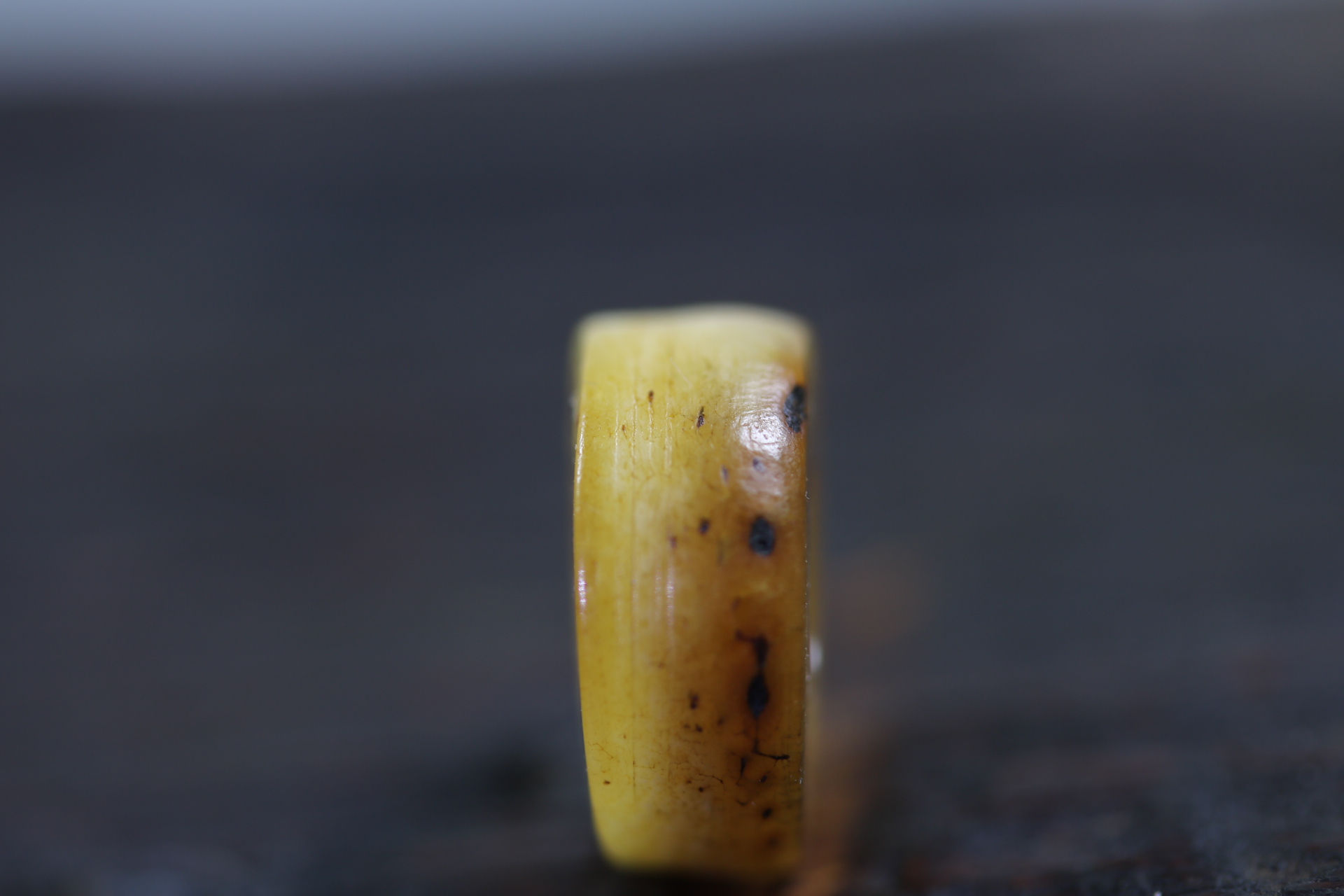 tt玛尼珠_2024.11.20-4