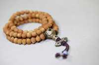 酸枣核1082-2025.10.23-1