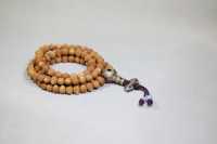 酸枣核1082-2025.10.23-3