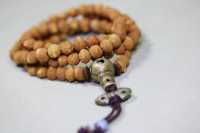 酸枣核1082-2025.10.23-6