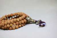 酸枣核1082-2025.10.23-7