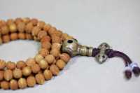 酸枣核1082-2025.10.23-8