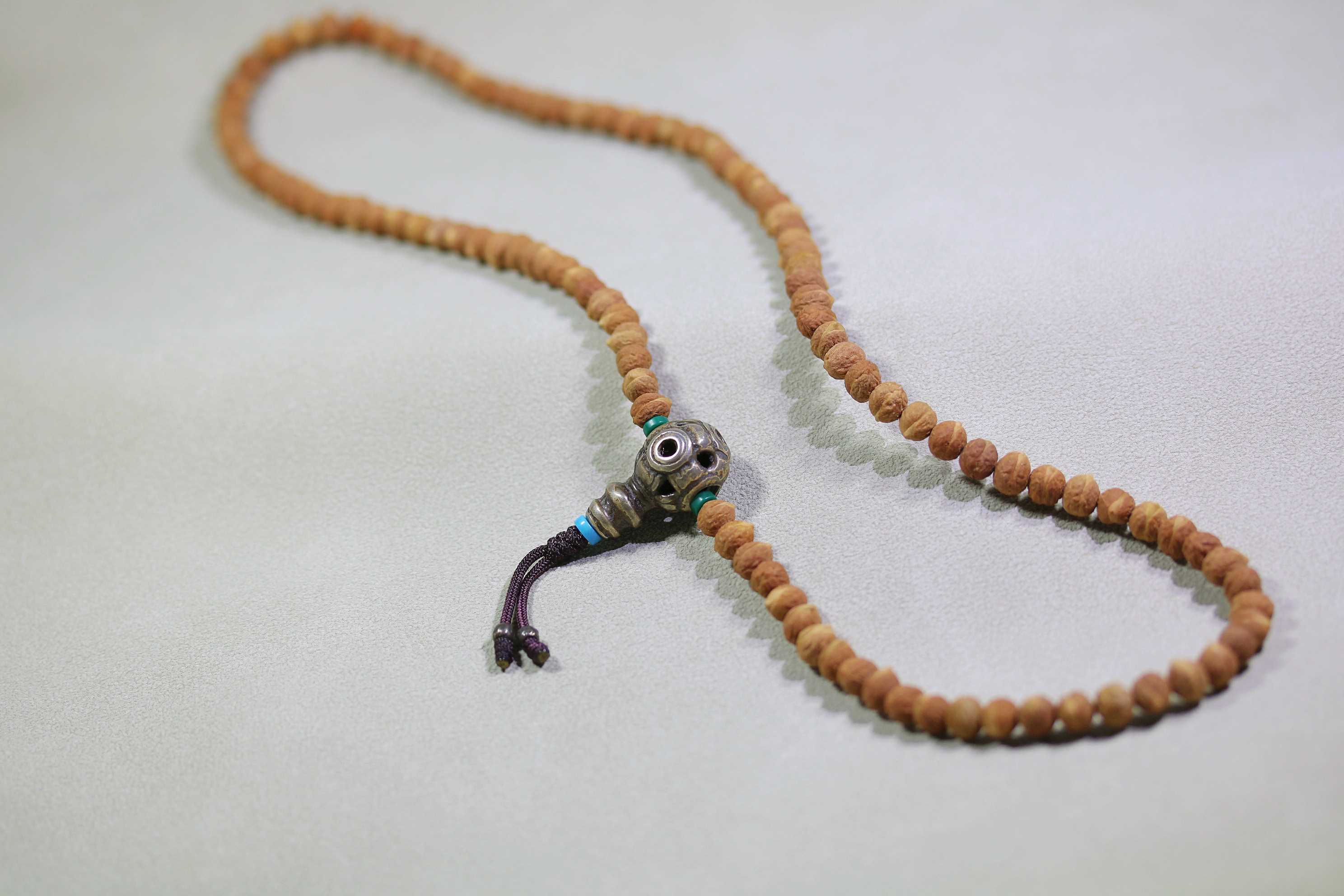 小酸枣核3_2025.10.29-1