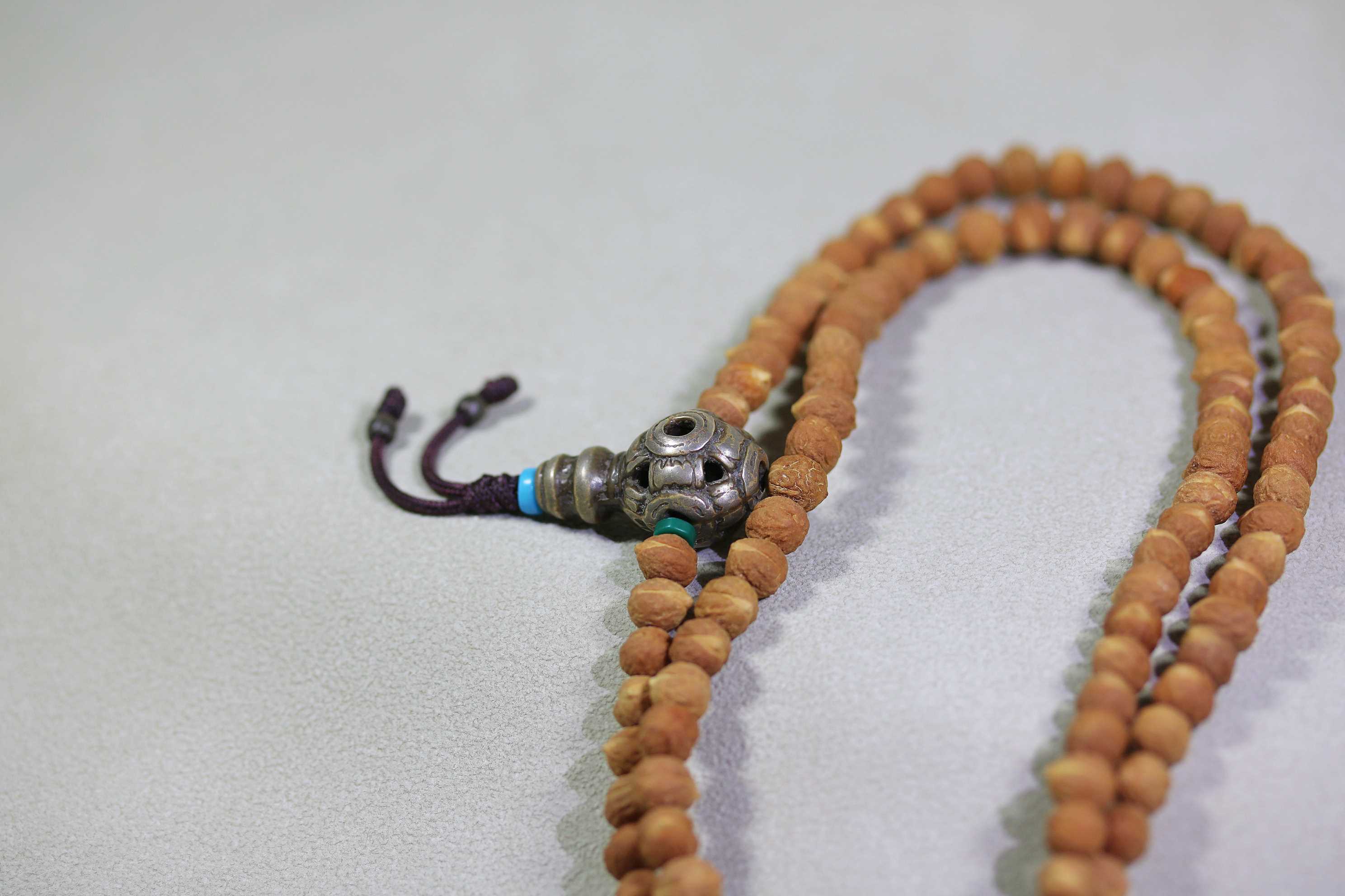 小酸枣核3_2025.10.29-3