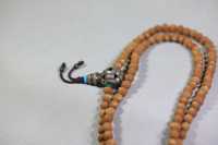 小酸枣核3_2025.10.29-3