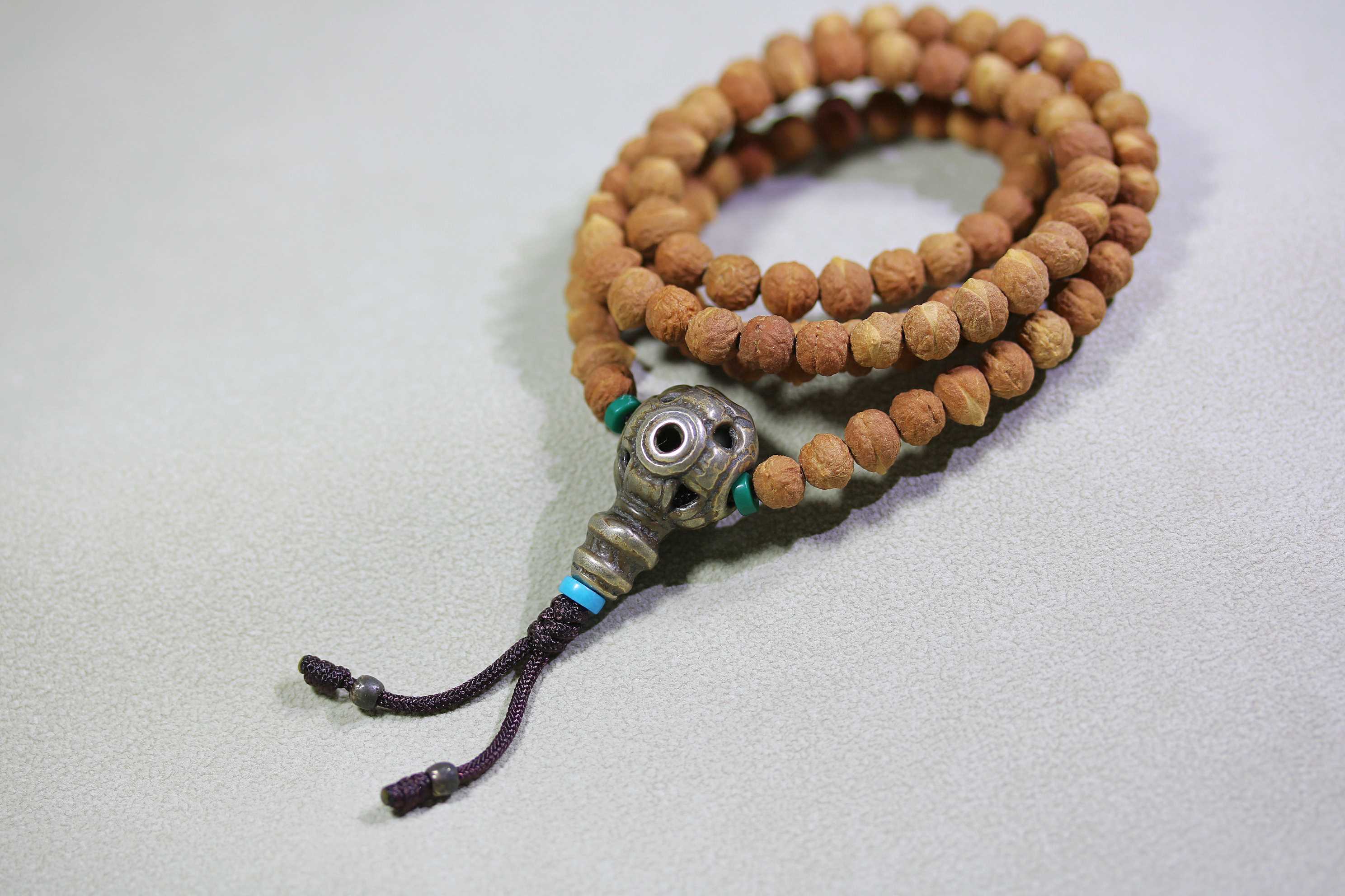 小酸枣核3_2025.10.29-4