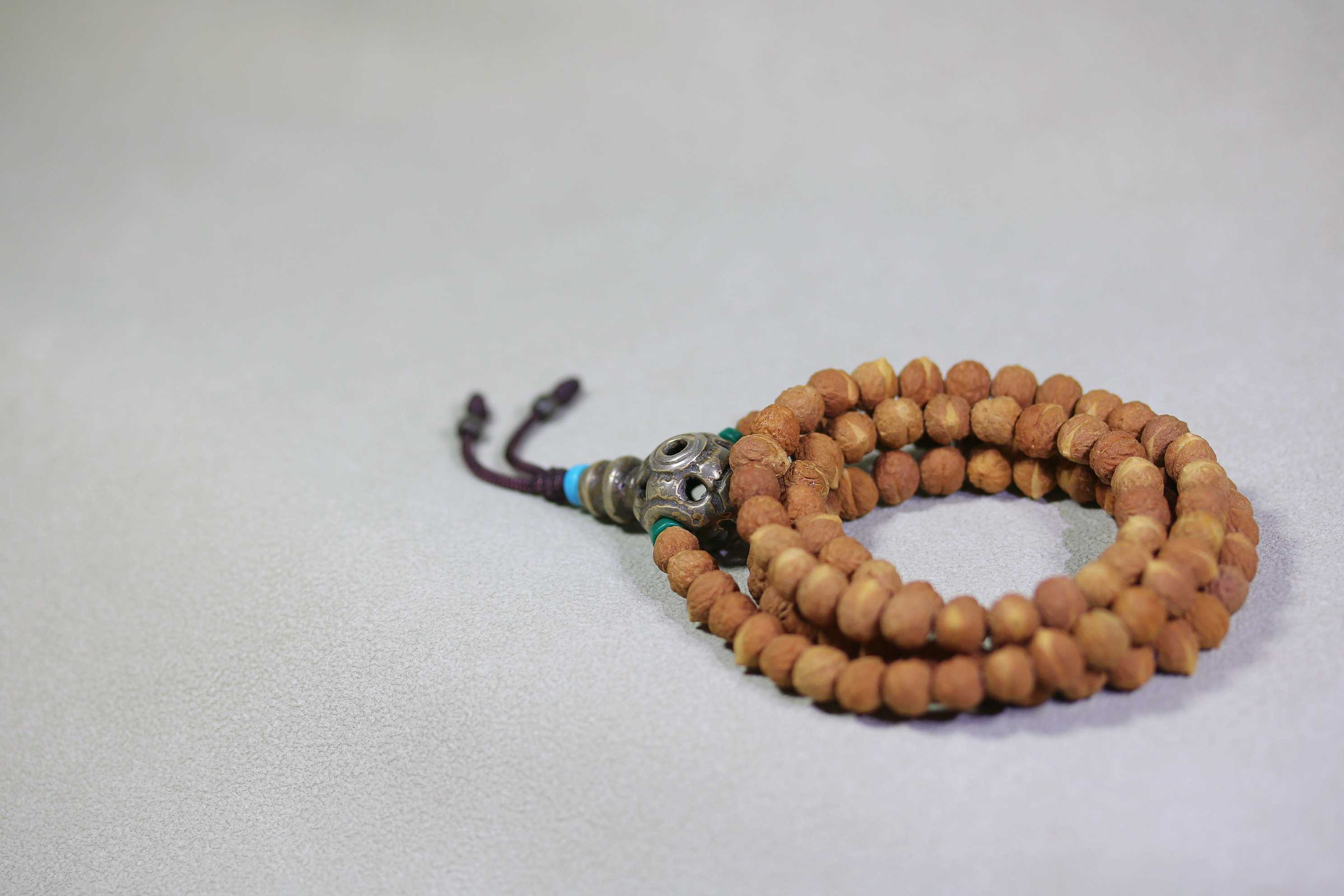 小酸枣核3_2025.10.29-5