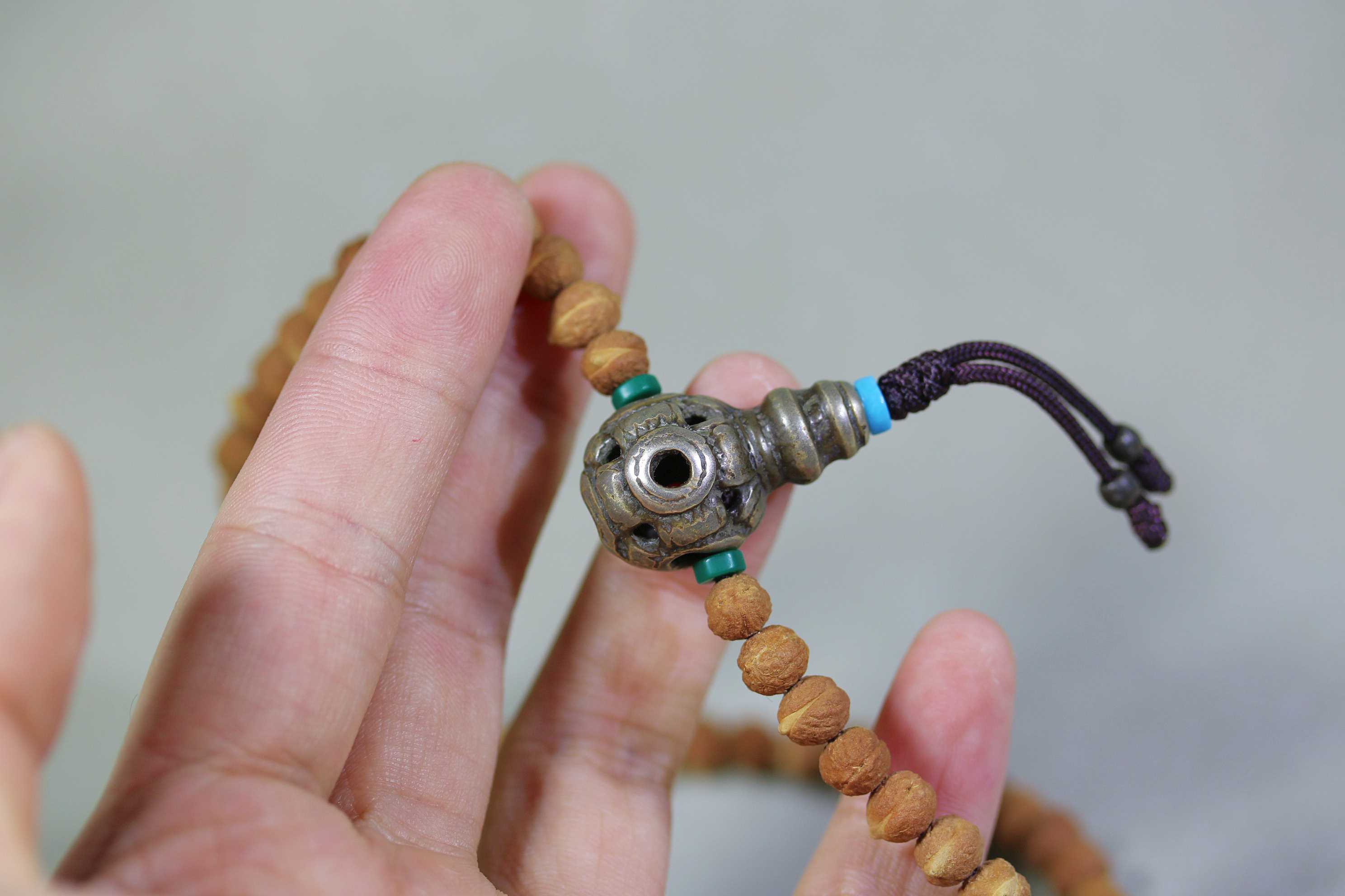 小酸枣核3_2025.10.29-6