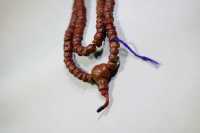 清代百香籽带三通_2025.11.12-3