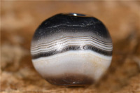 千年药师珠_2024.10.24-1