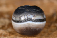 千年药师珠_2024.10.24-2