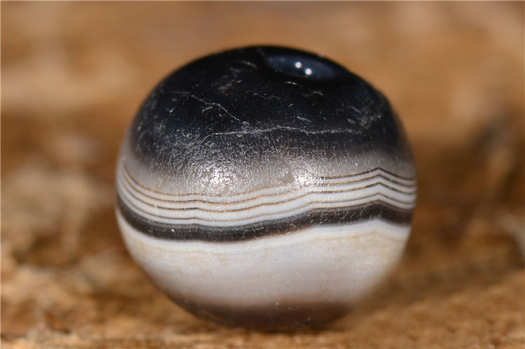 千年药师珠_2024.10.24-4