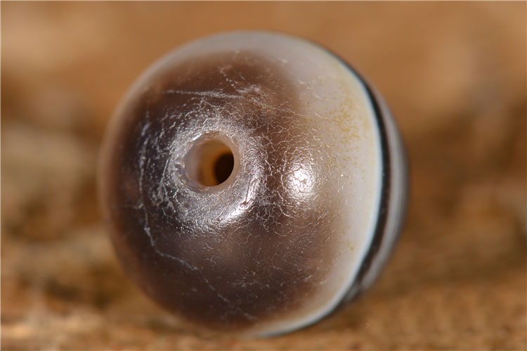 千年药师珠_2024.10.24-7