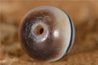 千年药师珠_2024.10.24-7