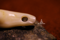 清代鹿牙卡子_2024.10.24-6