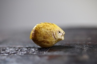 日本昭和小河豚_2024.10.24-1