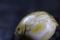 日本昭和小河豚_2024.10.24-2