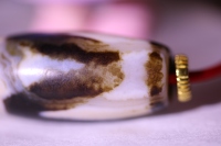 朱砂虎牙天珠_2024.10.28-3