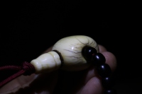 椰蒂108_2026.01.05-5