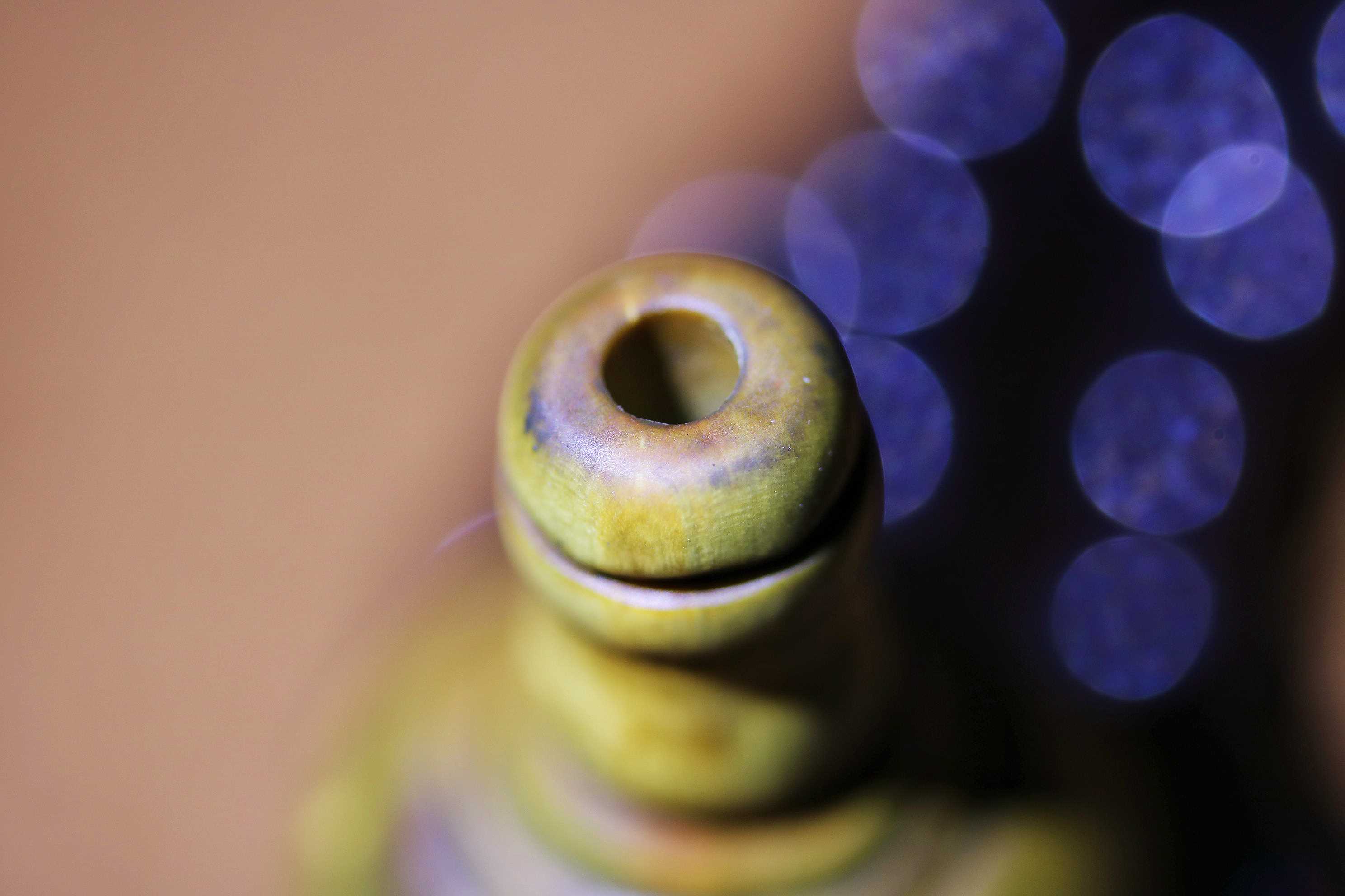 老六道木三通_2026.01.05-7