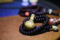 老六道木三通_2026.01.05-8